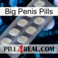 Big Penis Pills 08